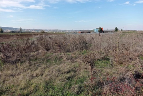 Στιγμιότυπο 2025 05 09 2.36.59 μμ cleanup e1746790989372