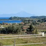 IMG 5803