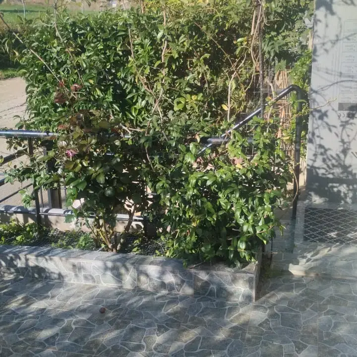 fc0b707a-68ae-4f3c-b06b-76995919098f