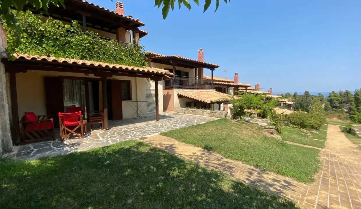 64137_v0zglv0hcpt (1)