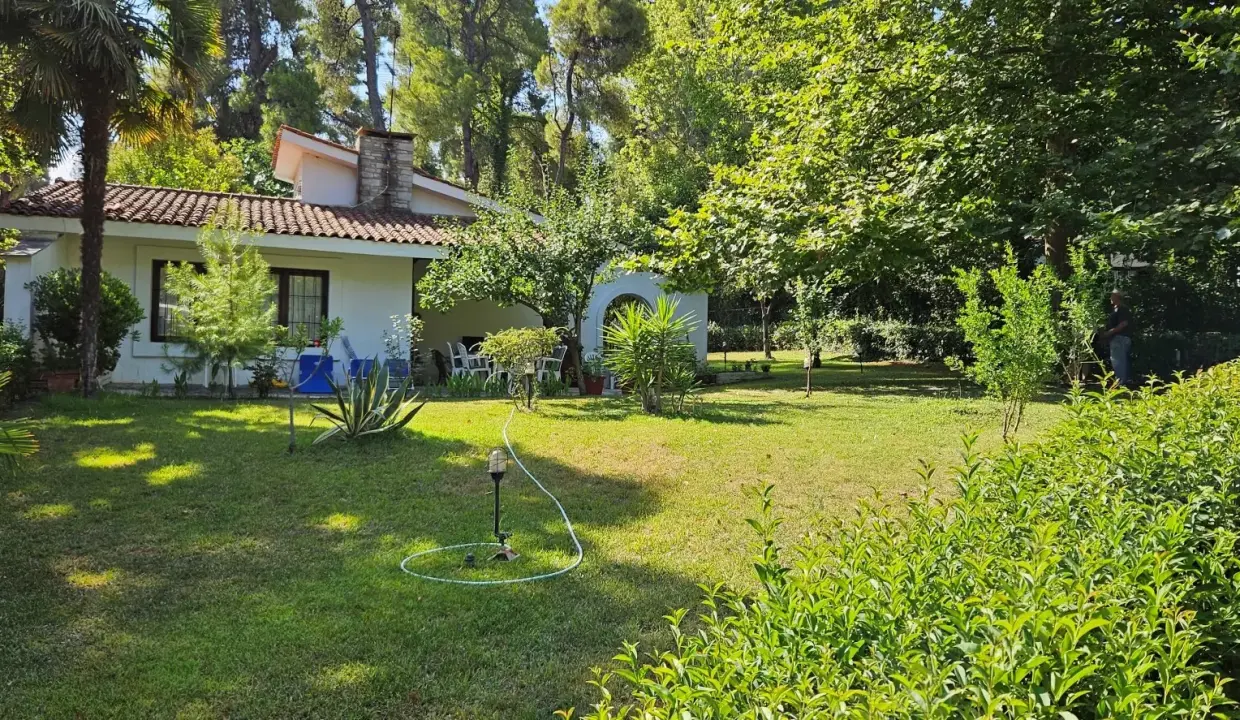 56168_4dag1yjy431 (1)