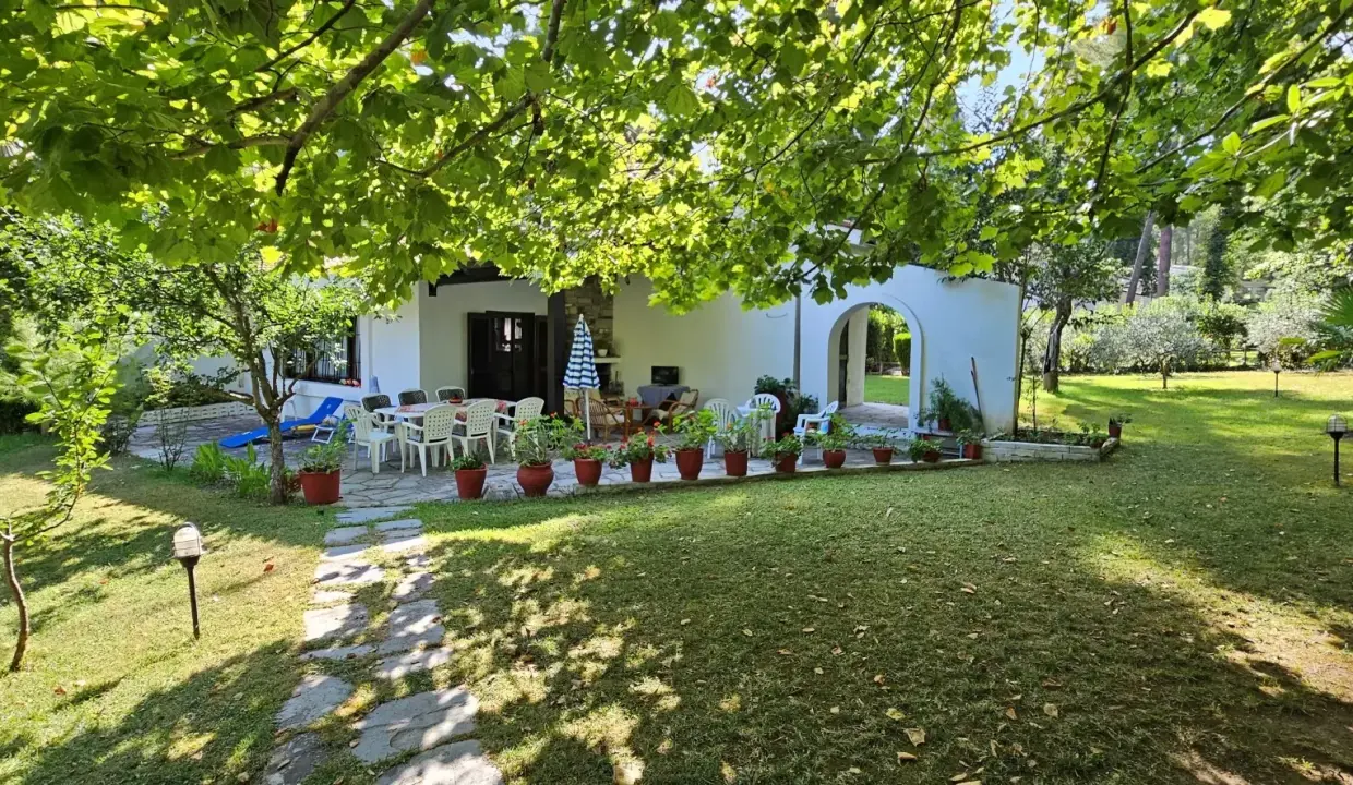 56168_w1hfvv1t2c3 (1)