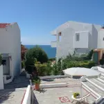 62791 widjtis1ucp 1 1