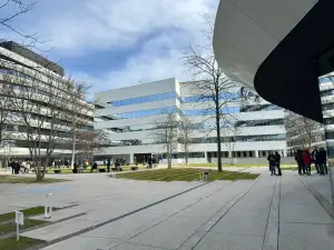 WhatsApp Image 2026 01 29 at 14.51.26 1