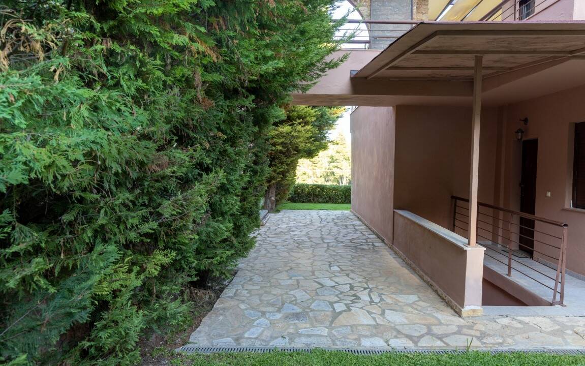 09224f33-475e-4e97-aeaf-d0e592ffe70e