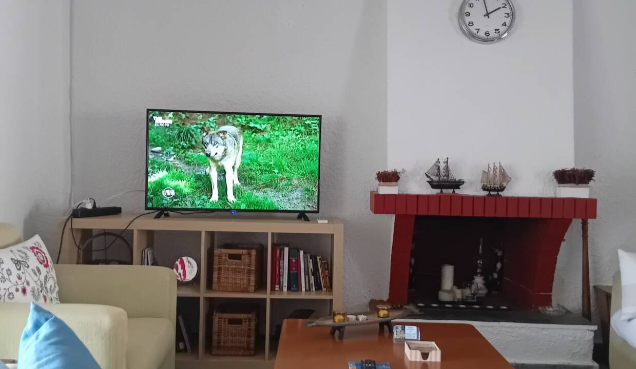 0b9ea92c-9711-4f31-ba75-593b9a4efa55