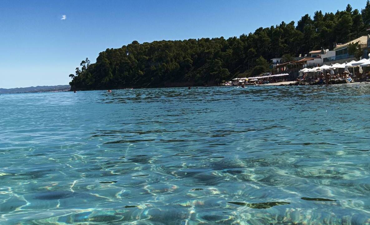 191f2ee8-5534-4b30-be10-d3f518a61c8f