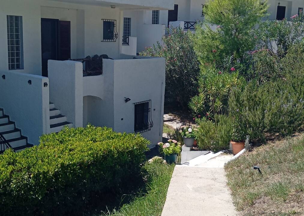 3c33e035-2ca3-4082-b429-0416445cba80