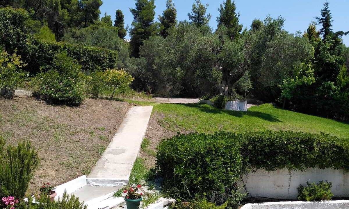 5740a9d6-9cc0-4c7b-968c-a3e22e8a487e