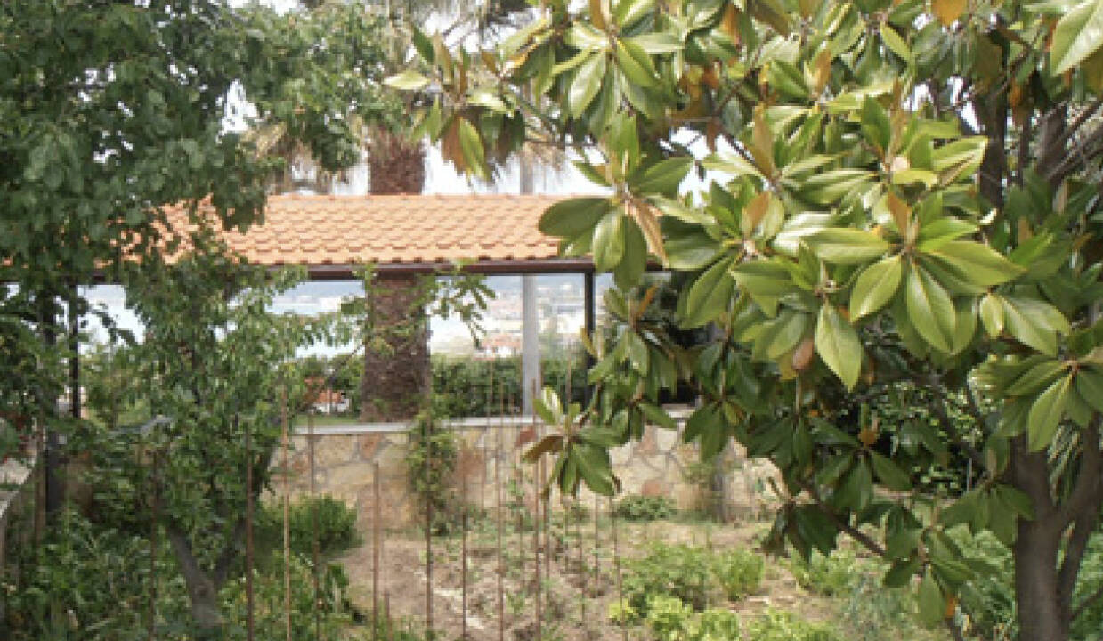 Screenshot 2026-03-11 at 11.34.43