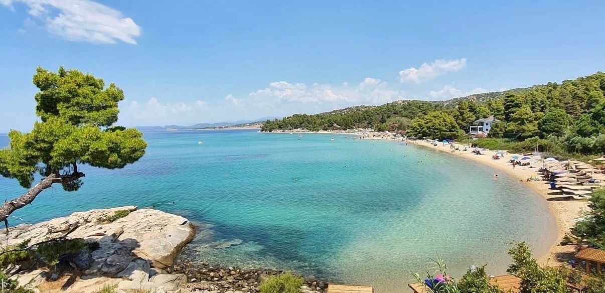 WhatsApp Image 2026 03 05 at 12.45.53 PM