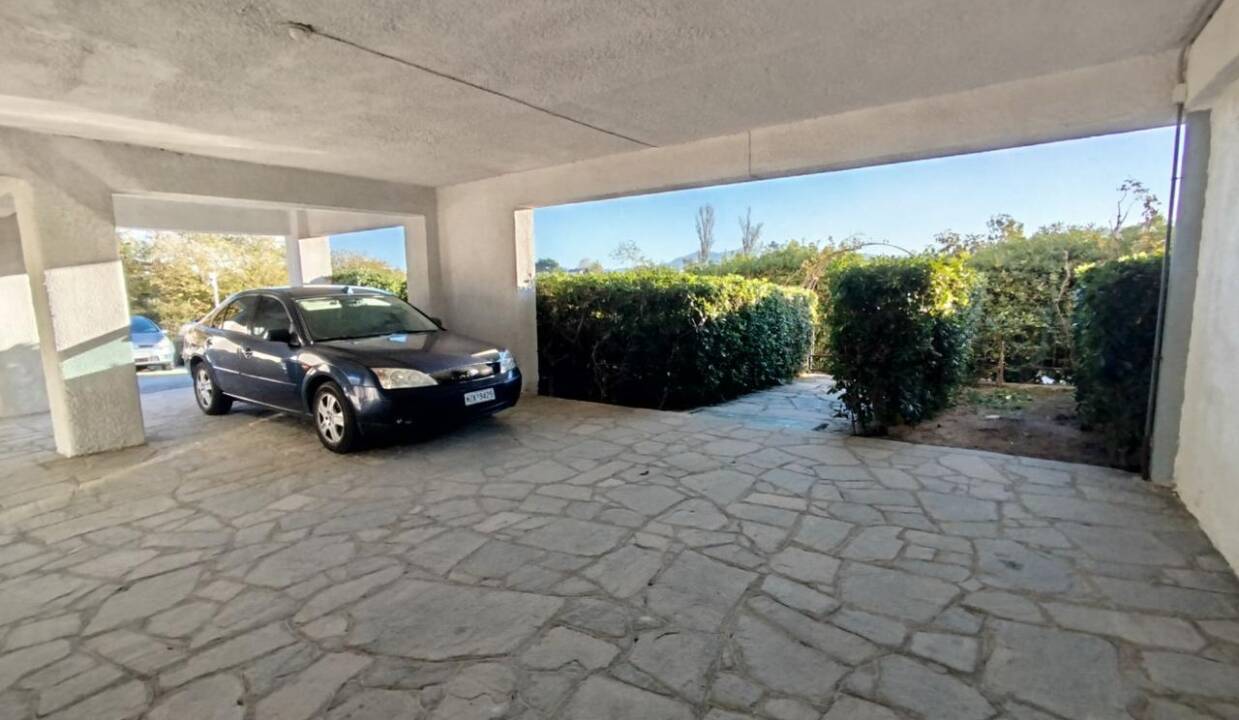 WhatsApp Image 2026-03-30 at 4.08.52 PM-2