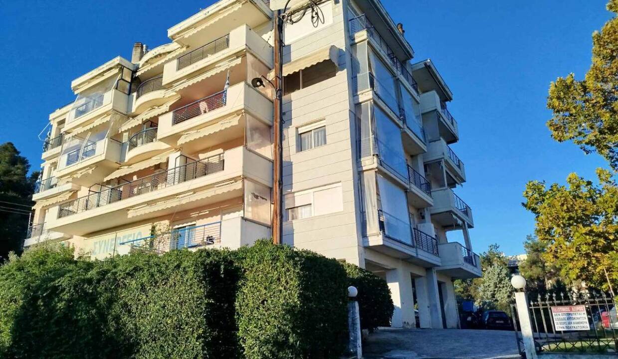 WhatsApp Image 2026-03-30 at 4.08.52 PM-3