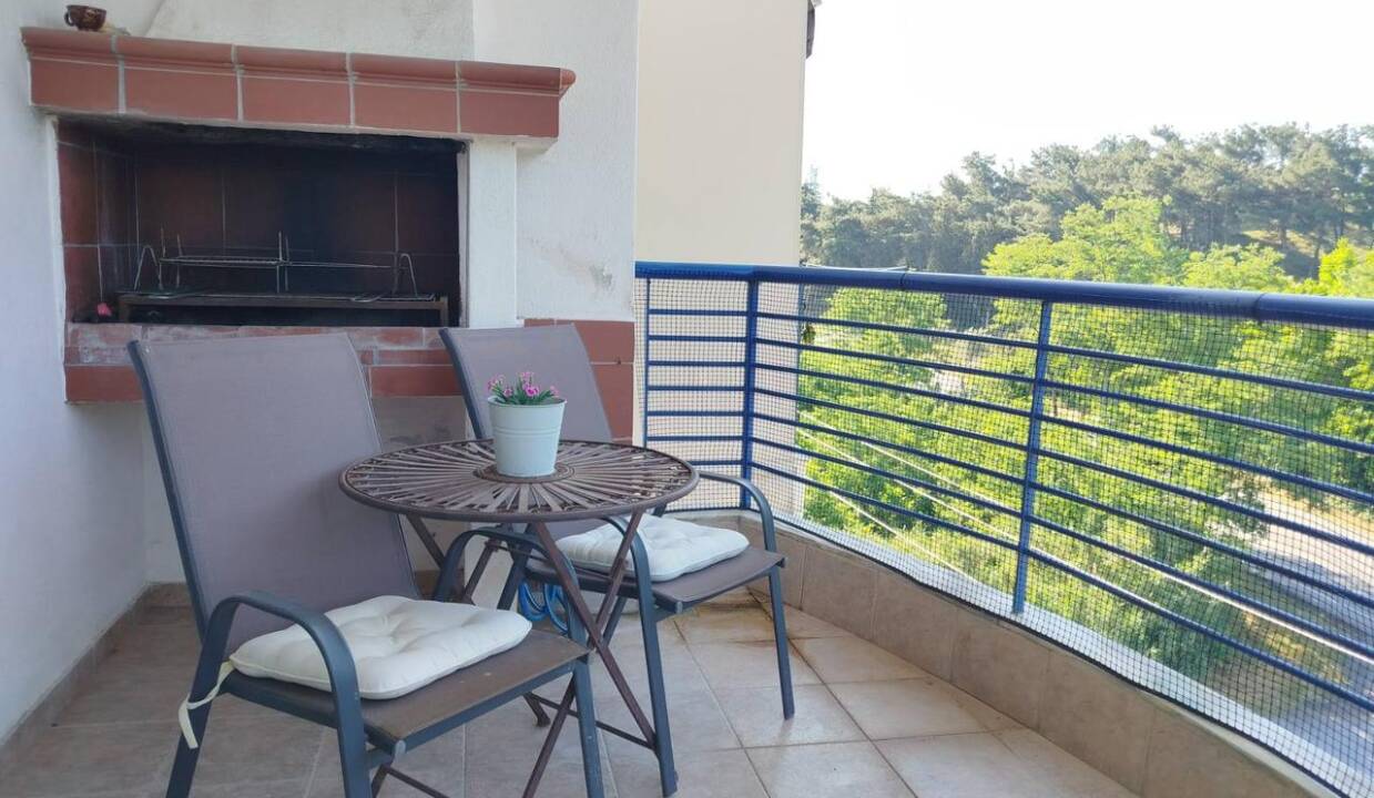 WhatsApp Image 2026-03-30 at 4.08.53 PM-3