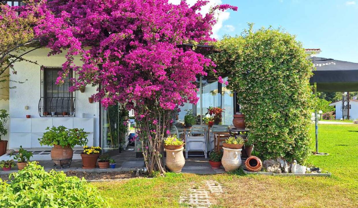 c1a185a9-4410-4d71-b376-79faac6d1481