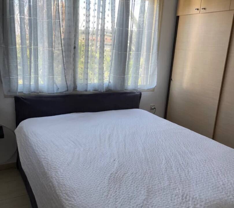 62428_wodl2co1nry (1)