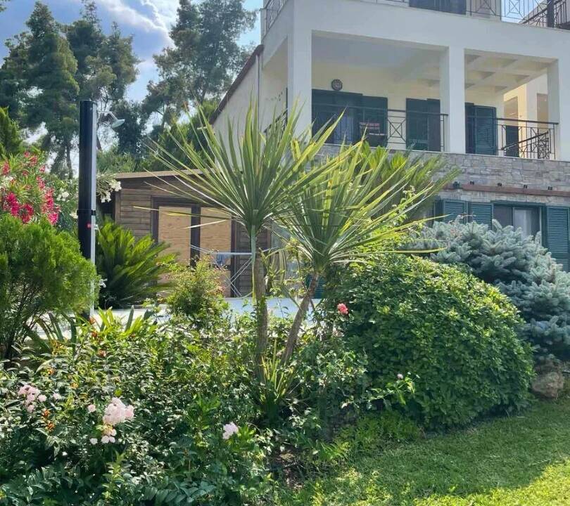 62760_wzqsvjoxodq (1)